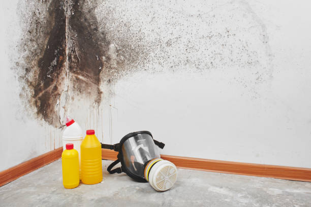 Best Emergency Mold Remediation  in Lincoln Beach, OR