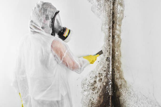 Best Airborne Mold Testing  in Lincoln Beach, OR